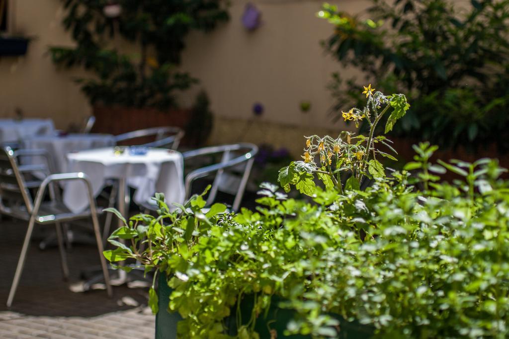 וינה Boutiquehotel Donauwalzer מראה חיצוני תמונה
